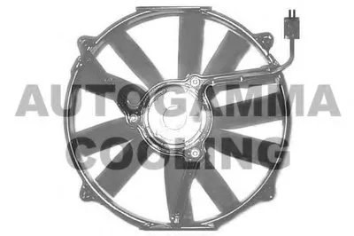 Вентилятор, охлаждение двигателя AUTOGAMMA купить