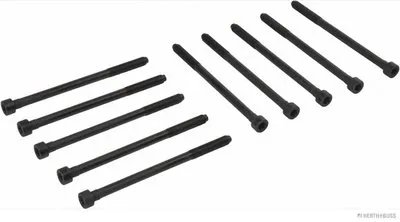 Комплект болтов головки цилидра HERTH+BUSS JAKOPARTS купить