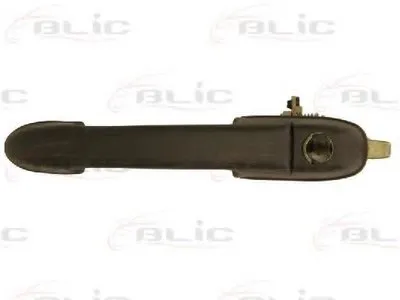 Ручка двери BLIC купить