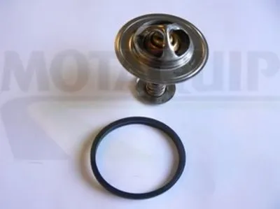 Термостат, охлаждающая жидкость MOTAQUIP купить