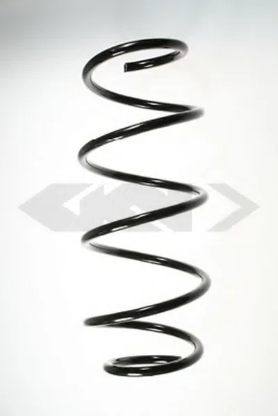 винтовая пружина SPIDAN купить