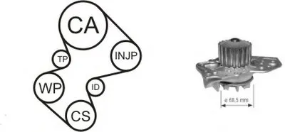 Водяной насос + комплект зубчатого ремня AIRTEX купить