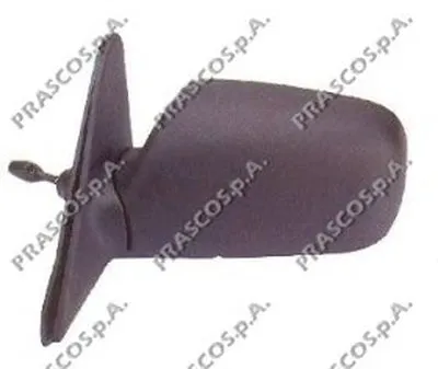 Наружное зеркало PRASCO купить