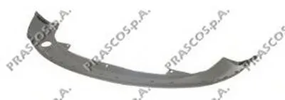 Спойлер PRASCO купить