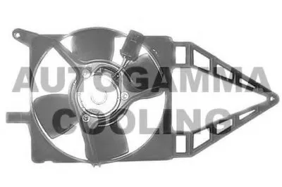 Вентилятор, охлаждение двигателя AUTOGAMMA купить