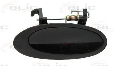 Ручка двери BLIC купить