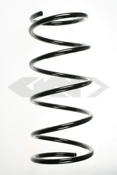 винтовая пружина SPIDAN купить