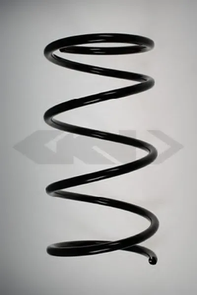 винтовая пружина SPIDAN купить