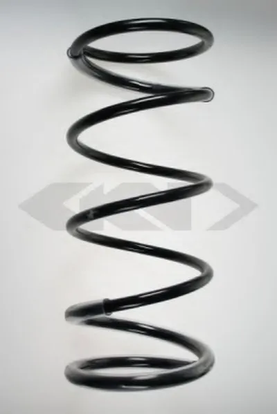 винтовая пружина SPIDAN купить