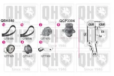 Водяной насос + комплект зубчатого ремня QUINTON HAZELL купить