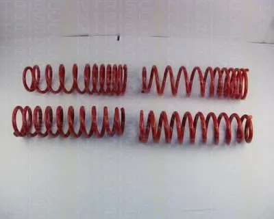 Комплект ходовой части, пружины TRISCAN купить