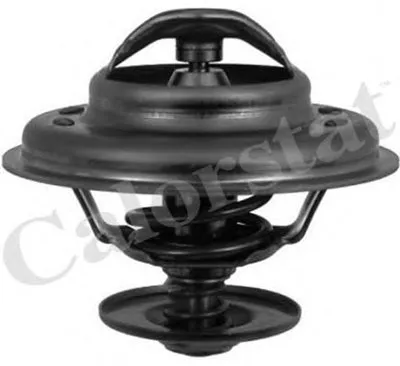 Термостат, охлаждающая жидкость CALORSTAT by Vernet купить