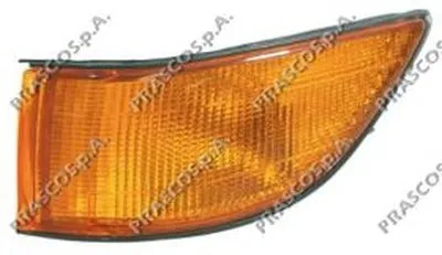 Фонарь указателя поворота PRASCO купить