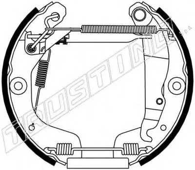 Комплект тормозных колодок FAST KIT TRUSTING купить