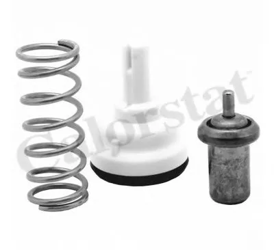 Термостат, охлаждающая жидкость CALORSTAT by Vernet купить