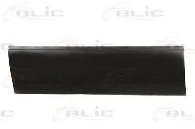 Дверь, кузов BLIC купить