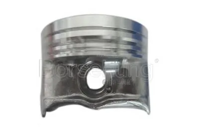 Поршень Borsehung купить