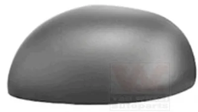 Покрытие, внешнее зеркало VAN WEZEL купить