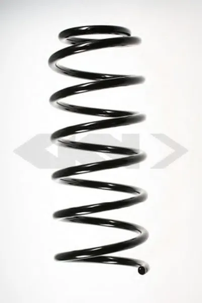 винтовая пружина SPIDAN купить