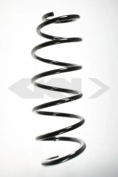 винтовая пружина SPIDAN купить