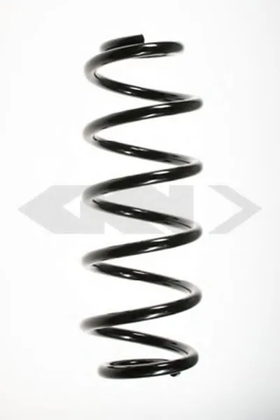 винтовая пружина SPIDAN купить