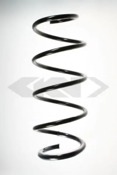 винтовая пружина SPIDAN купить