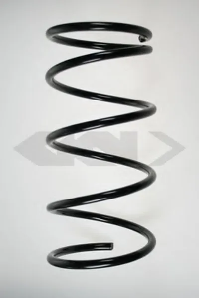 винтовая пружина SPIDAN купить