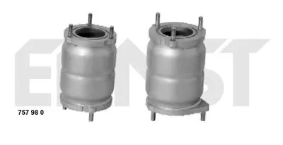 Катализатор для переоборудования Set ERNST купить