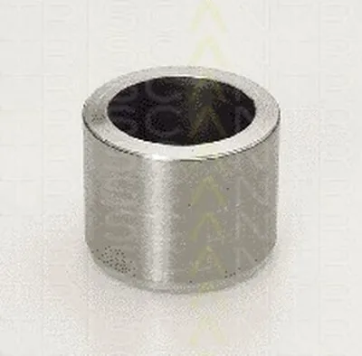 Поршень, корпус скобы тормоза TRISCAN купить