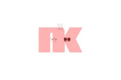 Комплектующие, колодки дискового тормоза NK купить