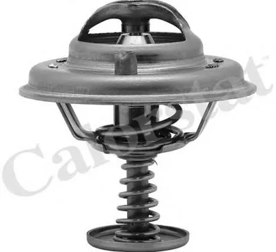 Термостат, охлаждающая жидкость CALORSTAT by Vernet купить