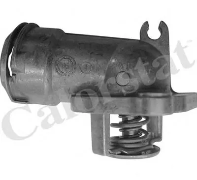 Термостат, охлаждающая жидкость CALORSTAT by Vernet купить