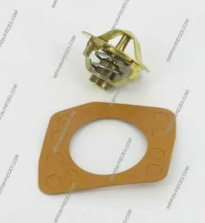 Термостат, охлаждающая жидкость NPS купить