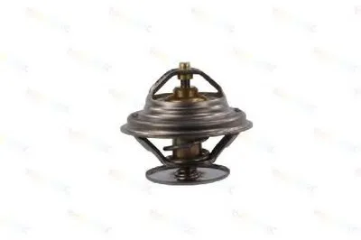 Термостат, охлаждающая жидкость THERMOTEC купить