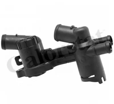 Термостат, охлаждающая жидкость CALORSTAT by Vernet купить