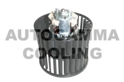 Вентиляция салона AUTOGAMMA купить