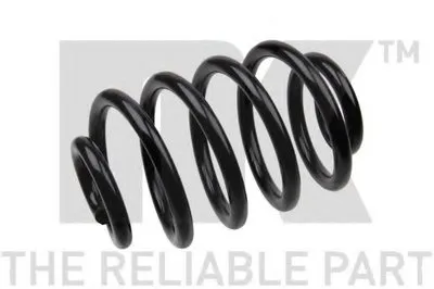 винтовая пружина NK купить