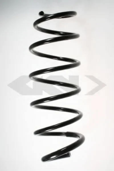 винтовая пружина SPIDAN купить