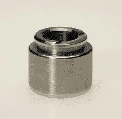 Поршень, корпус скобы тормоза BUDWEG CALIPER купить