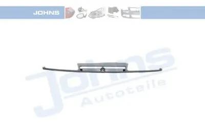 Решетка радиатора JOHNS купить