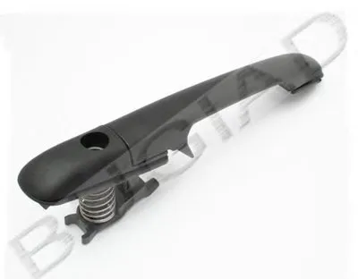 Ручка двери BUGIAD купить