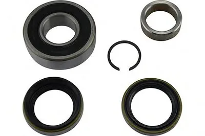 Комплект подшипника ступицы колеса KAVO PARTS купить