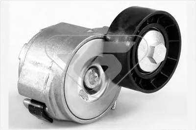 Натяжной ролик, поликлиновой  ремень HUTCHINSON купить