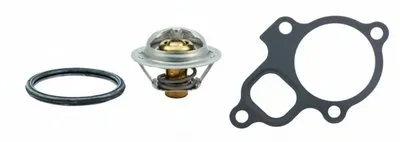 Термостат, охлаждающая жидкость HOFFER купить