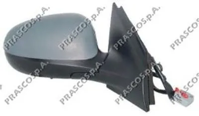 Наружное зеркало PRASCO купить