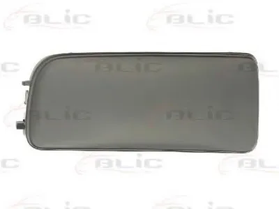 Покрытие, фара BLIC купить