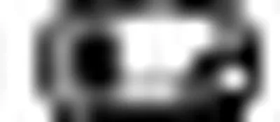 Насадка выпускной трубы WALKER купить