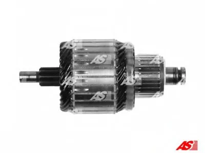 Якорь, стартер