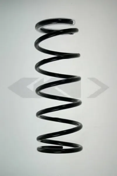 винтовая пружина SPIDAN купить