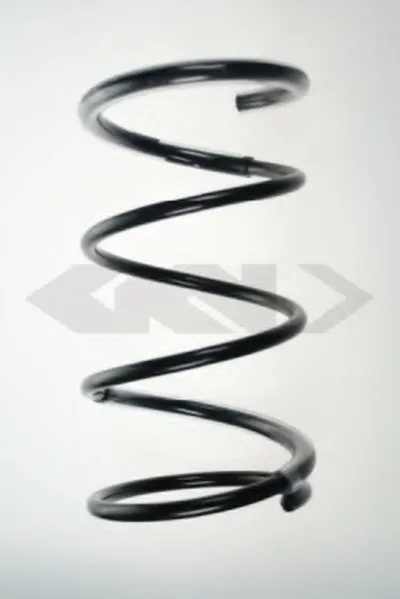 винтовая пружина SPIDAN купить